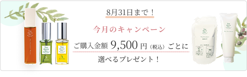 特集バナー