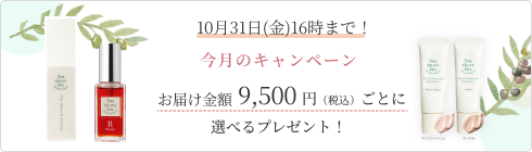 特集バナー