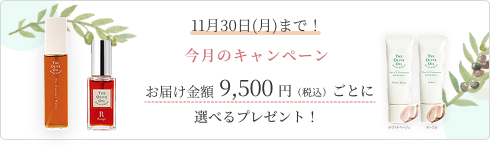 特集バナー