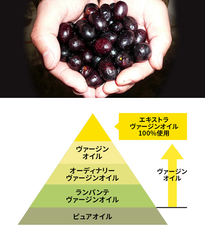 オリーブとピラミッド図形