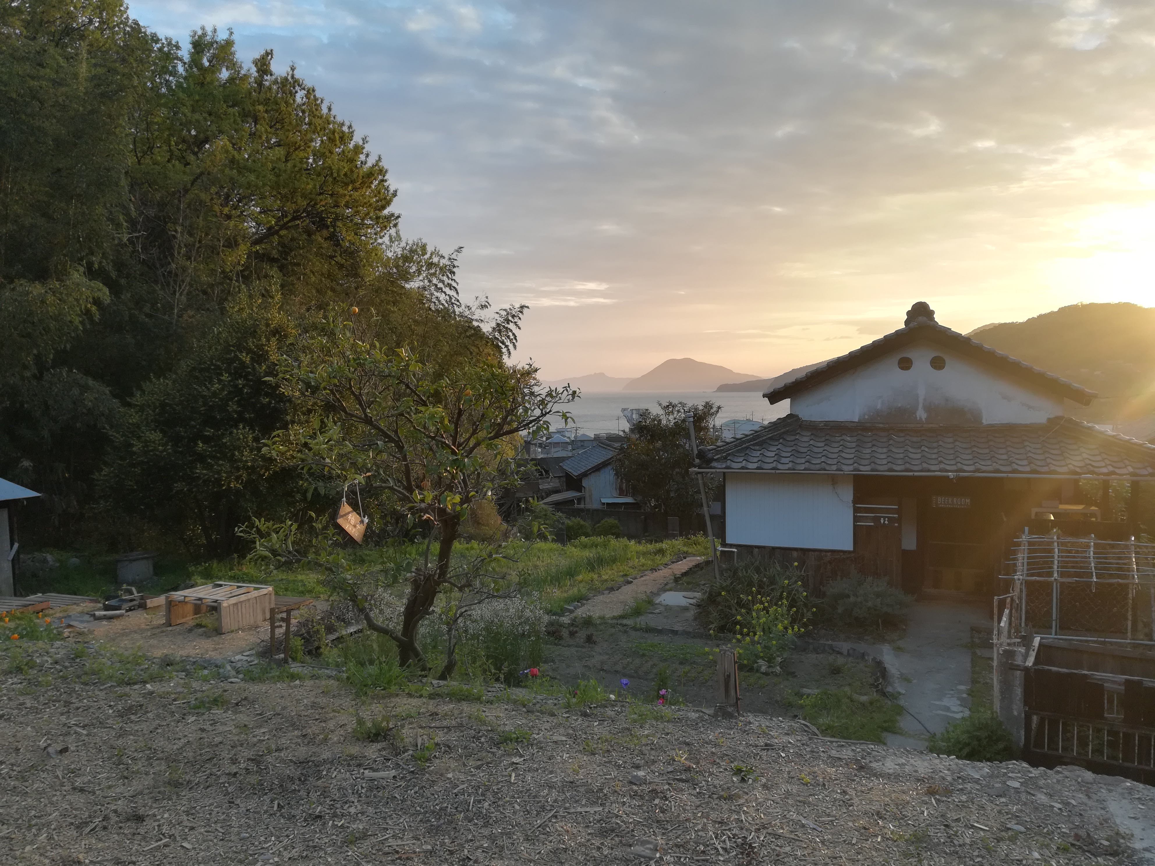 まめまめびーる